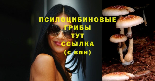 ГАЛЛЮЦИНОГЕННЫЕ ГРИБЫ Алексеевка