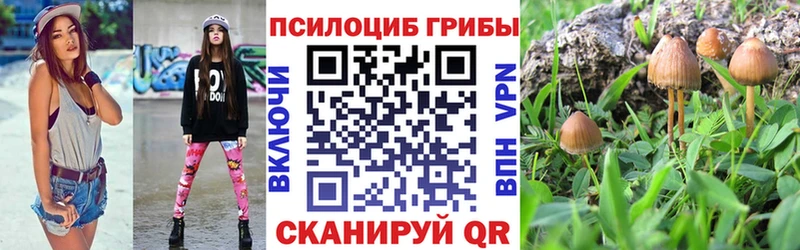 наркотики  Пролетарск  Галлюциногенные грибы Cubensis 